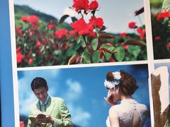 -亚龙湾国际玫瑰谷
