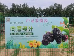 -御林古桑园