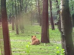 -秦皇岛野生动物园
