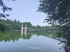 -东湖落雁景区