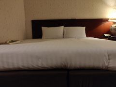 -曼谷王子宫殿酒店