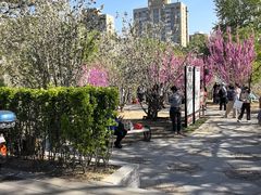 -元大都城垣遗址公园