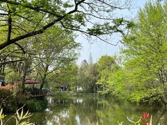 -西溪国家湿地公园