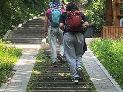 -青龙山国家森林公园