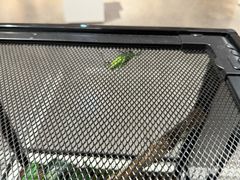 -上海昆虫博物馆