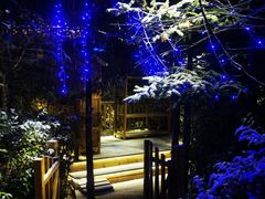 -汉拿山温泉度假酒店