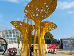 -南昌之星游乐场