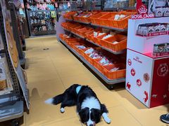 -MARSMART PETS火星宠物超市(1733店)