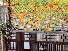 -乌山风景区