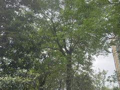 -白鹭湾湿地公园