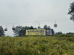 -美心红酒小镇游乐园