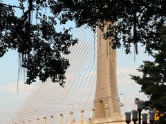 -Silly Dog Coffee(滨江店)