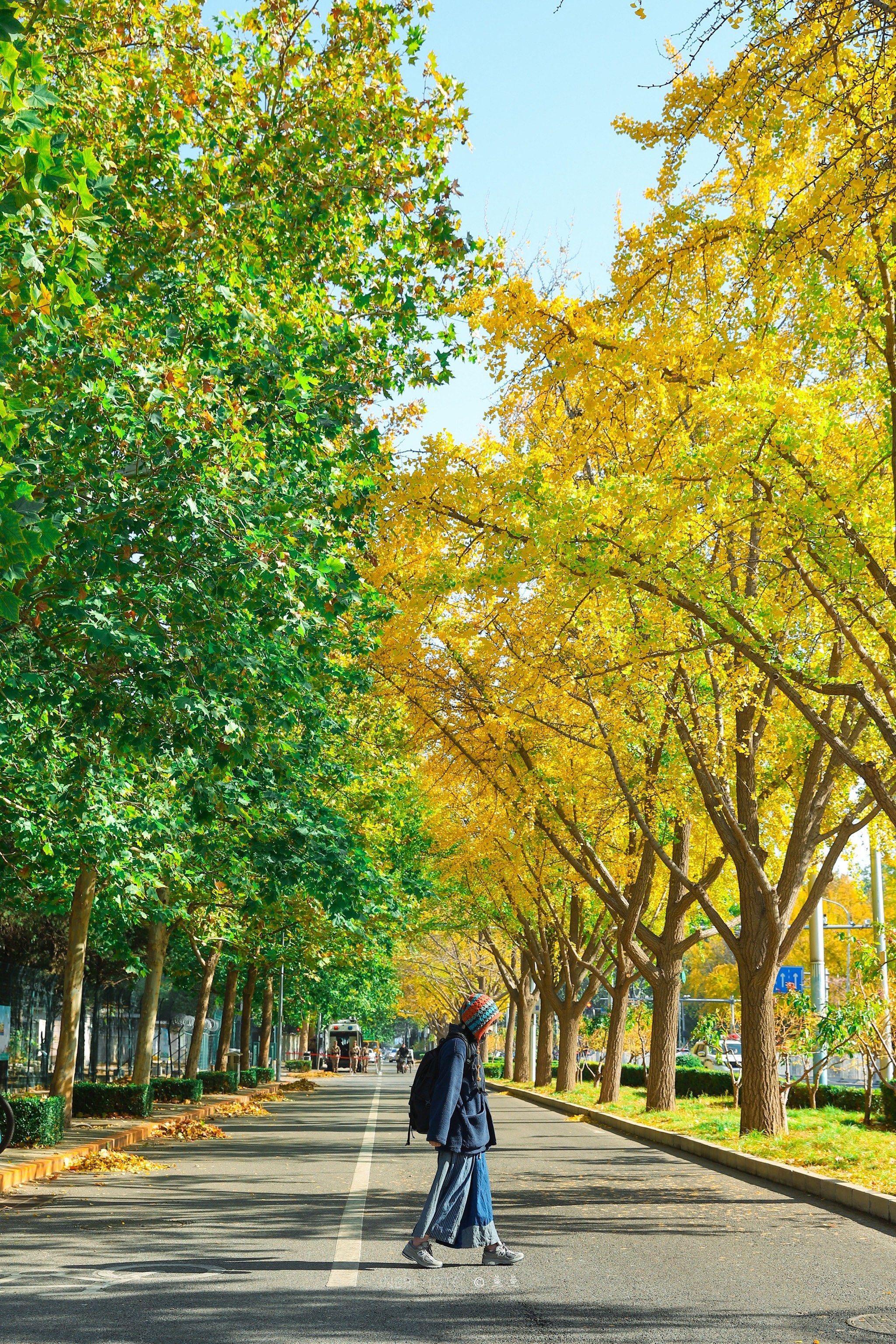 秋色"鸳鸯锅"🌝🌝太好看啦