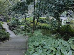 -南山植物园