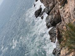 -广东惠东海龟国家级自然保护区