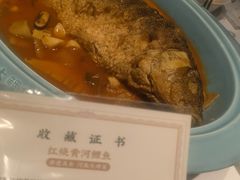 -阿五黄河大鲤鱼(英协路店)