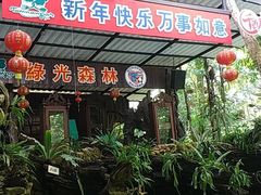 -绿光森林餐厅