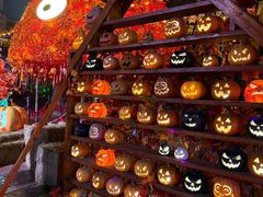 -郑州方特梦幻王国