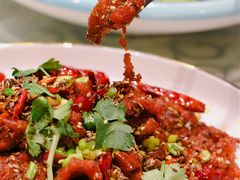 -巴特餐饮6加1音乐餐吧·新疆菜