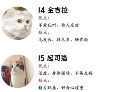 -瑞鹏宠物医院犬猫全科(真大分院)