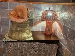-古董花园(思南路42弄小区店)