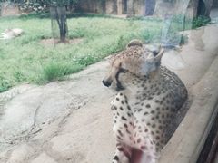 -杭州野生动物世界
