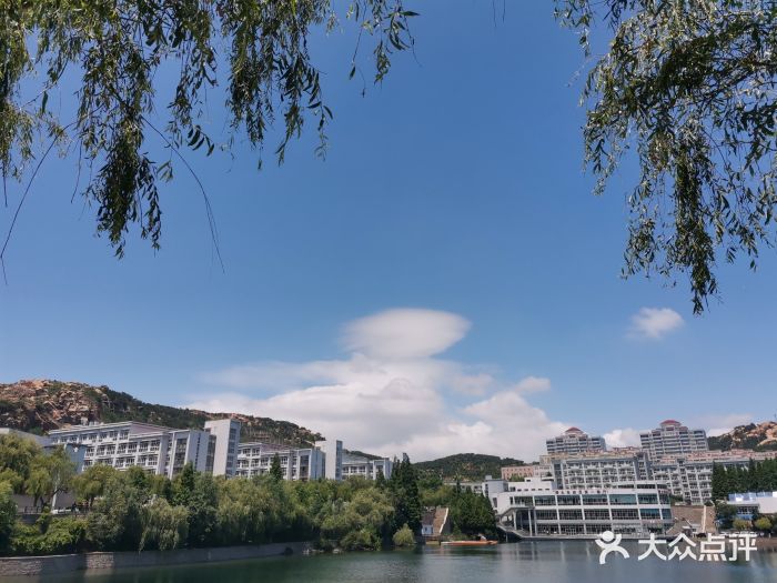青岛大学(金家岭校区)图片