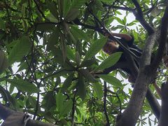 -塘栖枇杷特色园区