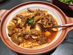 -金狮麟·宋宴
