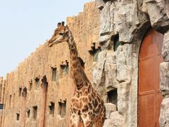 -济南野生动物世界