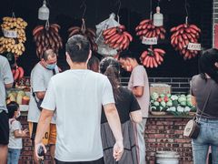 -大湾区中央湿地公园-十九涌
