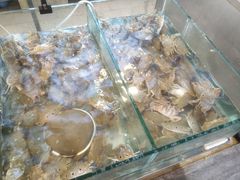 -渔家火锅·海鲜自助餐·演艺(亚龙湾天域酒店)