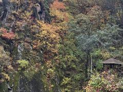-茅兰沟国家森林公园
