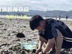 -坝光海滩