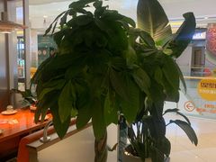 -镇江宝龙广场