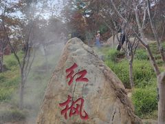 -广州市帽峰山景区
