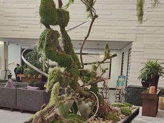 -天津海河悦榕庄·Lobby Lounge大堂吧