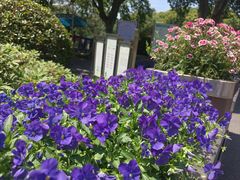 -太子山公园(园东路)