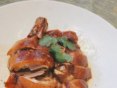 -金悦轩海鲜城(渔人码头店)