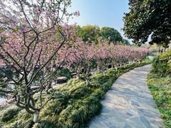 -昆山城市公园