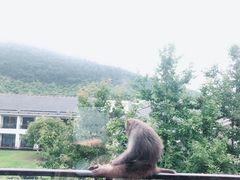 -苏州环秀晓筑养生度假村
