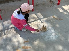 -北戴河集发农业梦想王国