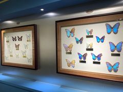 -上海昆虫博物馆