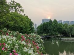 -尚贤河湿地