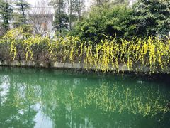 -成都工业学院(郫都校区)
