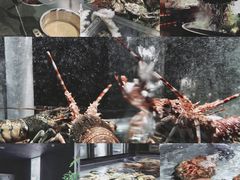 -1718海鲜姿造(苏宁宴请臻选店)
