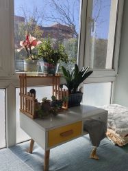 -金都微美·精准护肤·疗愈SPA