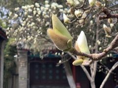 -万寿八仙宫