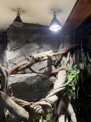 -Zoolung Zoolung动物主题公园(海信广场店)