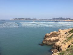 -枸杞岛